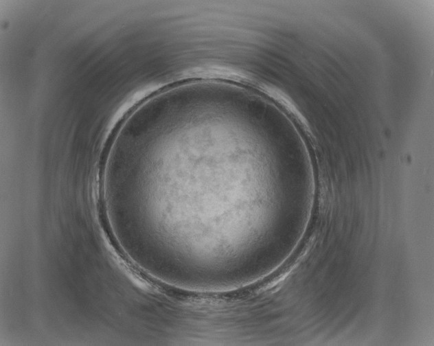 X0000085261040200703091318