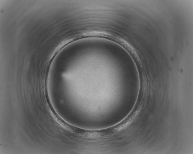 X0000085261041200703091318