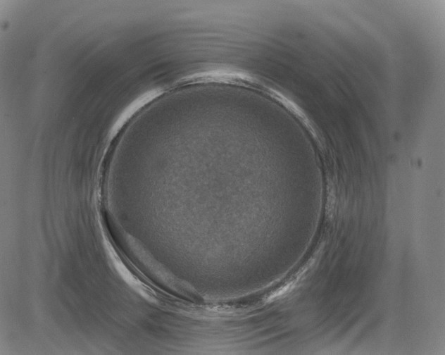 X0000085261042200703091318