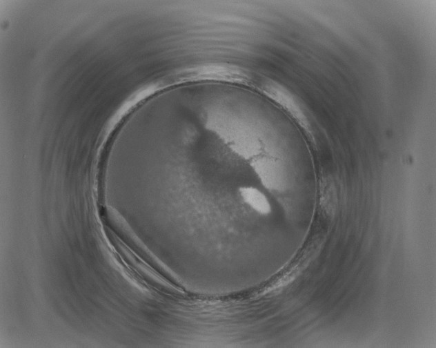 X0000085261043200703091318