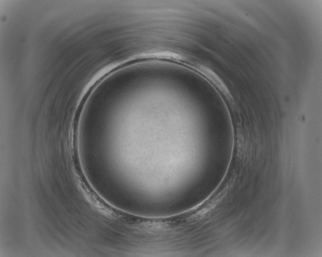 X0000085261044200703091318