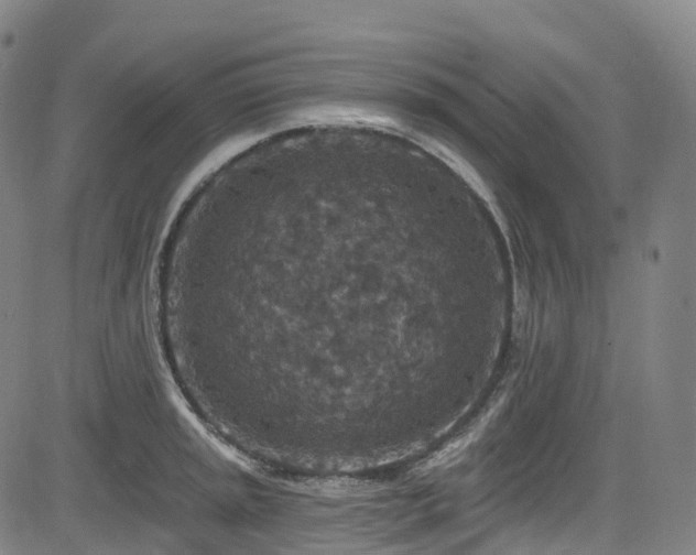 X0000085261045200703091318