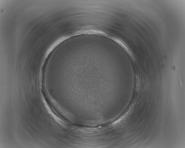 X0000085261046200703091318