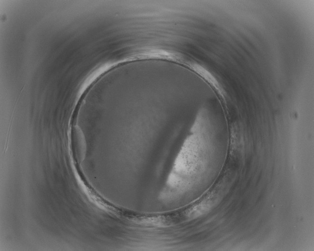 X0000085261047200703091318