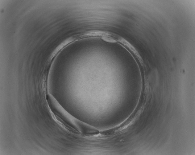 X0000085261049200703091318