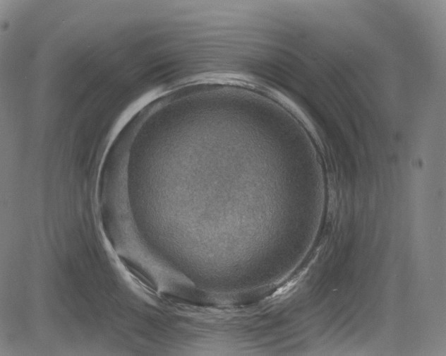 X0000085261050200703091318