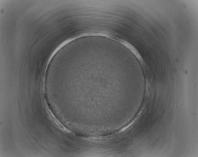 X0000085261052200703091318