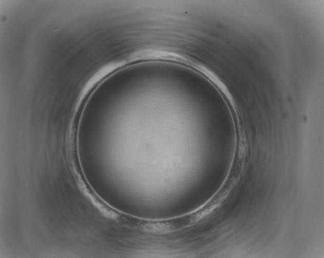 X0000085261053200703091319