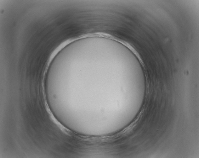 X0000085261054200703091319