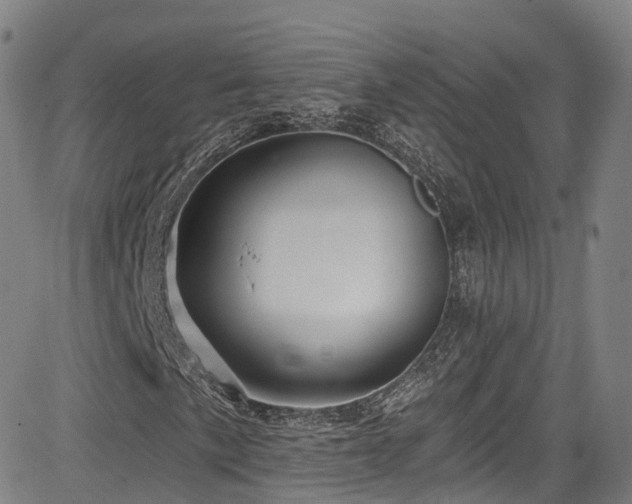 X0000085261057200703091318