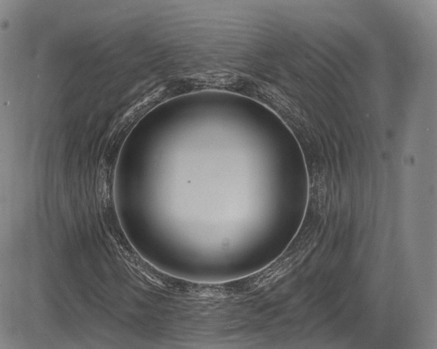 X0000085261058200703091318