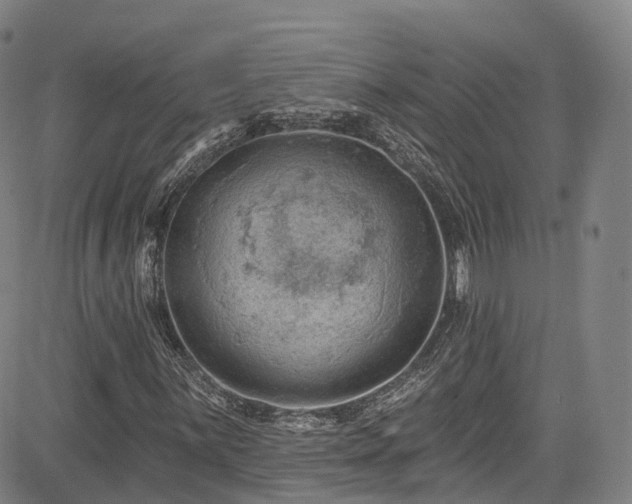 X0000085261059200703091318