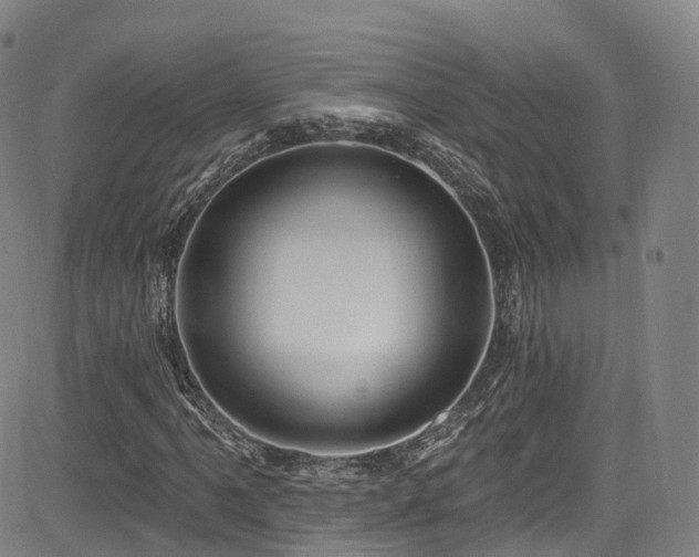 X0000085261061200703091318