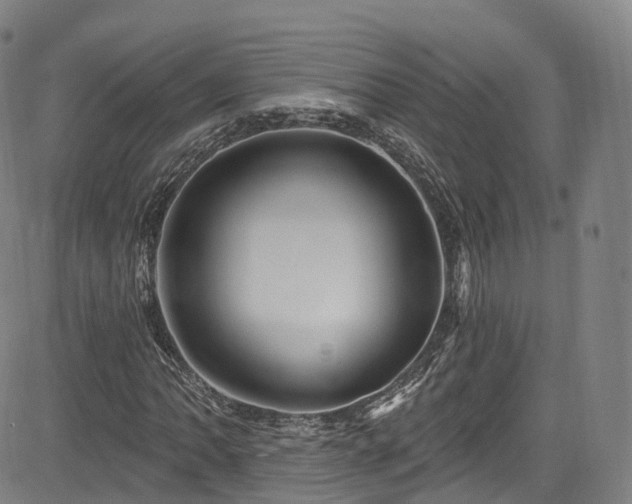 X0000085261062200703091318