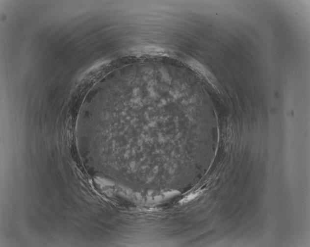 X0000085261063200703091318