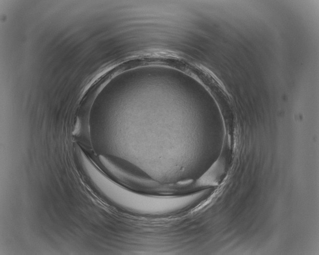 X0000085261065200703091318