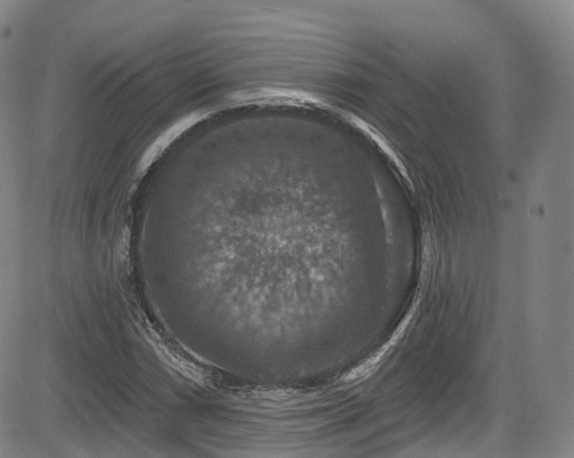 X0000085261066200703091318