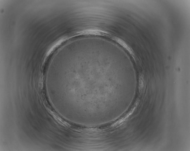 X0000085261067200703091318