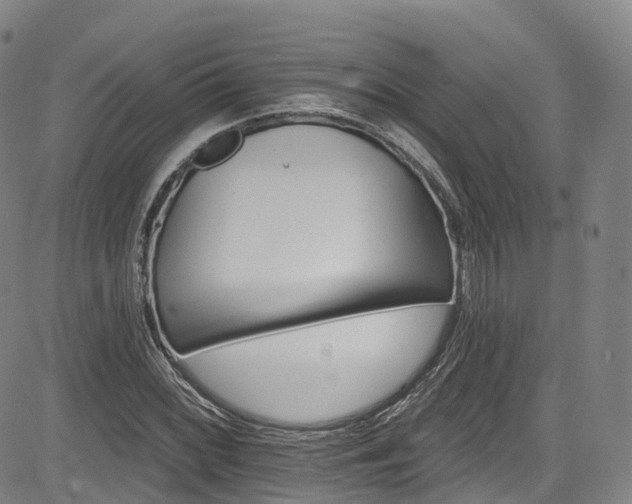 X0000085261068200703091318