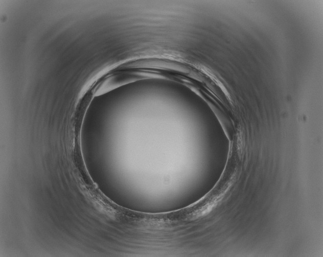 X0000085261069200703091318