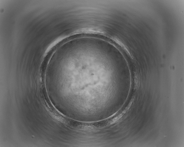 X0000085261070200703091318