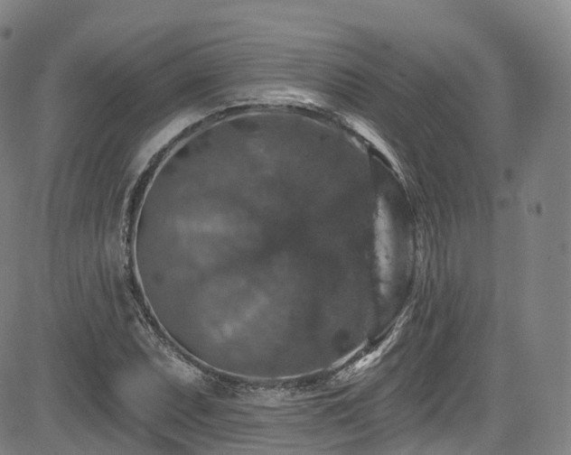 X0000085261071200703091318