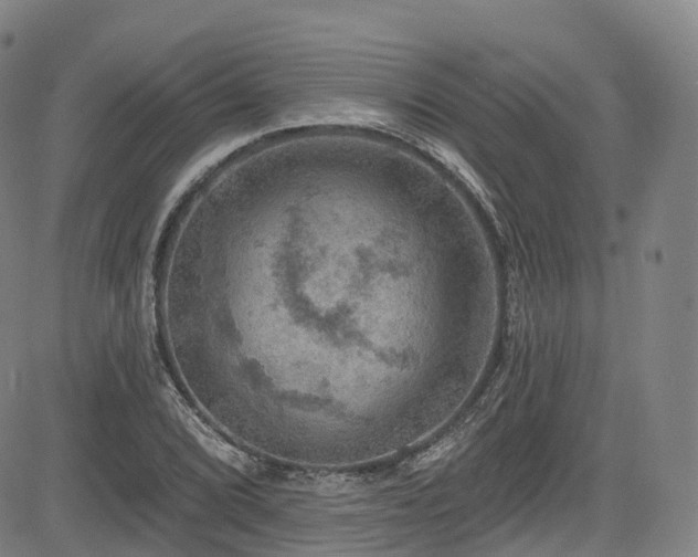 X0000085261072200703091318