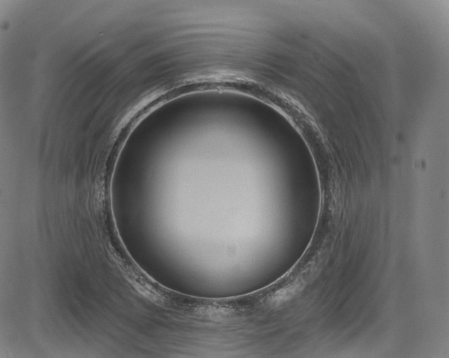 X0000085261073200703091317