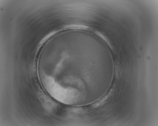 X0000085261074200703091317