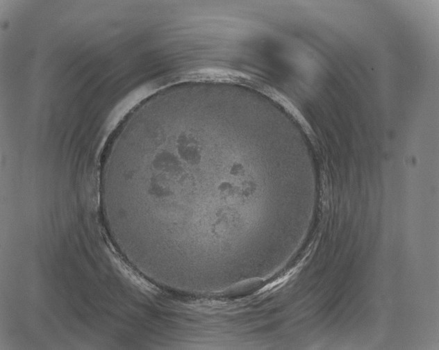 X0000085261075200703091317