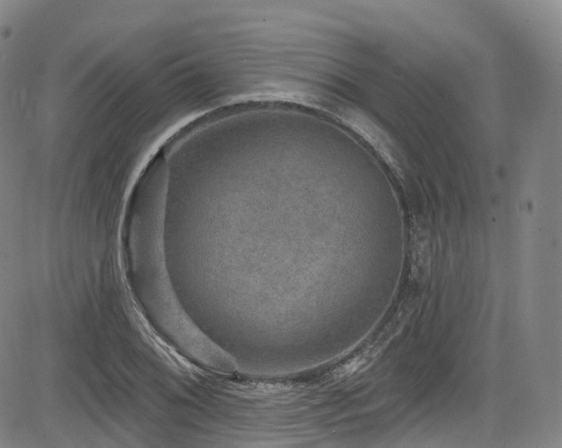 X0000085261076200703091317