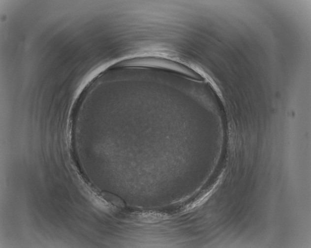 X0000085261077200703091317