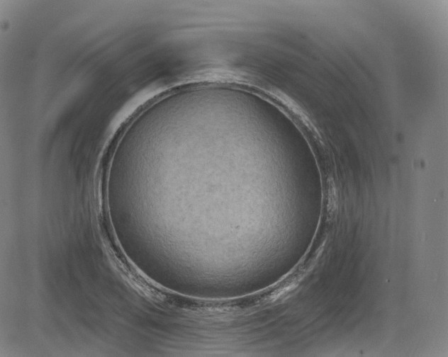 X0000085261078200703091317