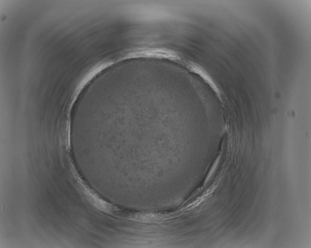 X0000085261079200703091317