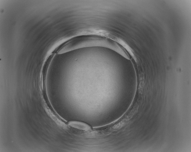 X0000085261080200703091317