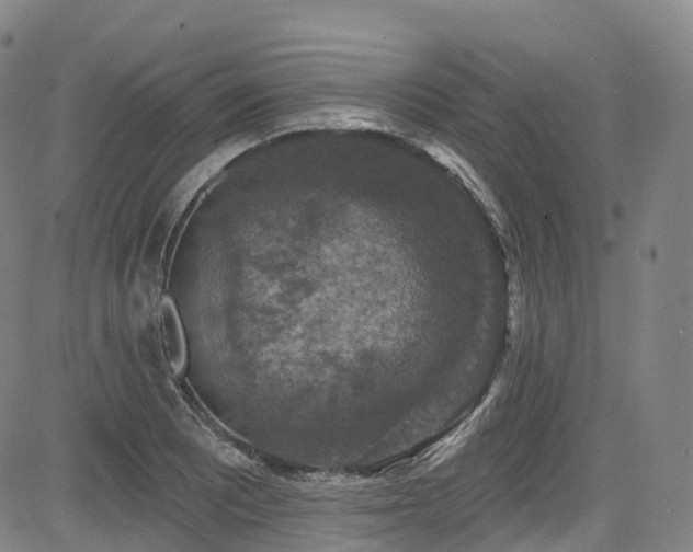 X0000085261081200703091317