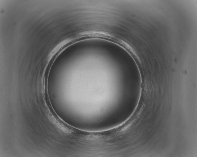 X0000085261082200703091317