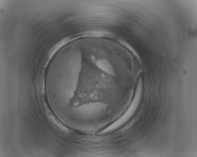 X0000085261083200703091317