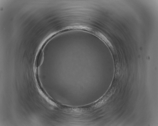 X0000085261084200703091317