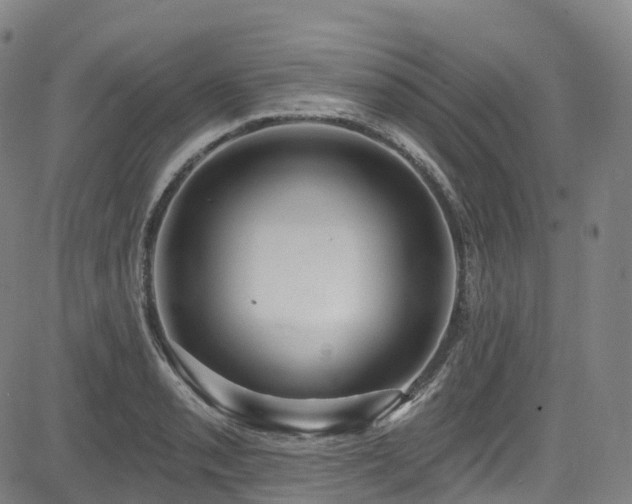 X0000085261085200703091317