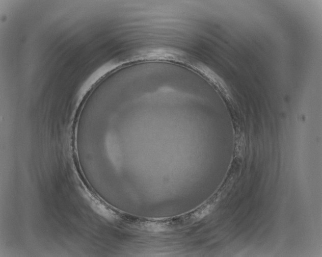 X0000085261086200703091317