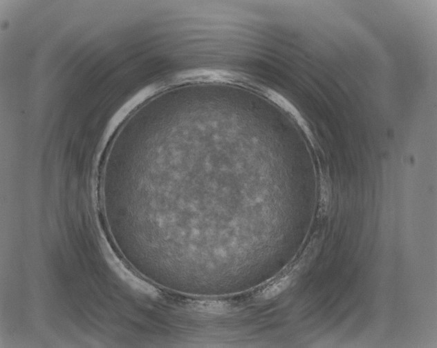 X0000085261090200703091317