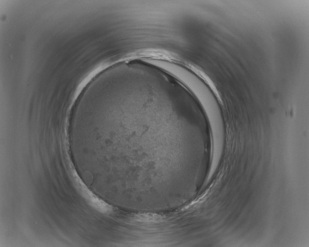 X0000085261091200703091317