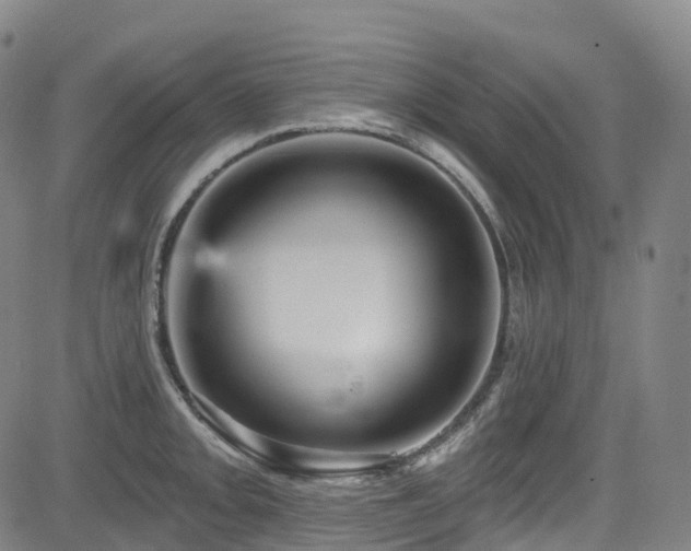 X0000085261093200703091317