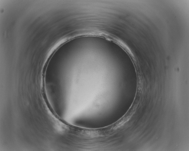 X0000085261095200703091317