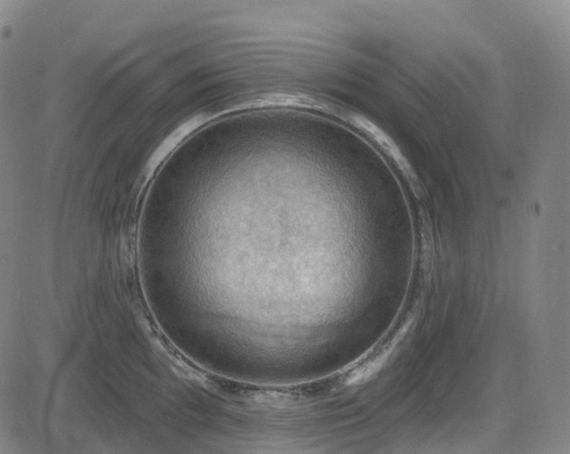 X0000085261097200703091317