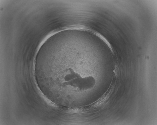 X0000085261099200703091317