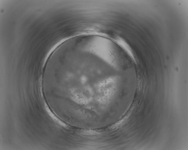 X0000085261100200703091317