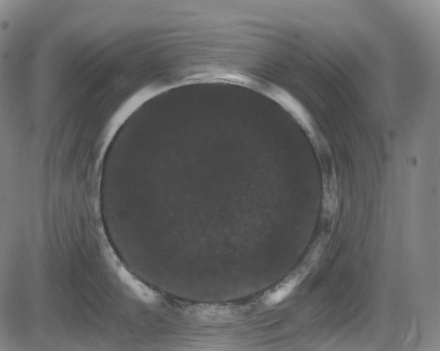 X0000085261102200703091317