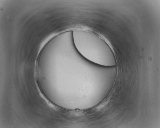 X0000085261103200703091317